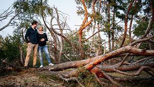 Pärchen steht auf einem umgestuerzten Baum